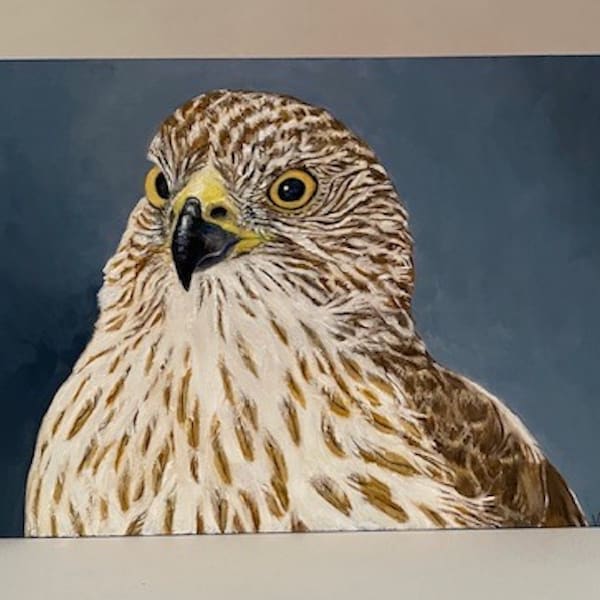 Red-tailed Hawk portrait painting, bird art, hand painted with original oil on wood, cradle in back to hang, shellac on sides, 7"Lx5"Hx1"D