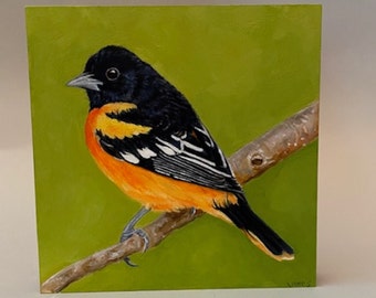 Baltimore Oriole bird portrait,original painting oil on wood,bird on branch shellac on sides cradle in back,ready to hang in home,6"Hx6"Wx"D