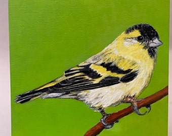 Eurasian siskin bird painting, original small bird painting, oil on wood, cradle in back shellac on sides, no frame needed, 5"Hx5"Wx1"D