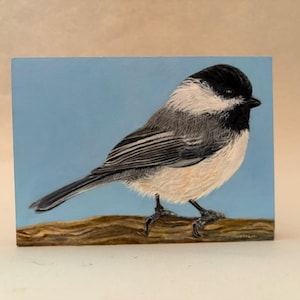 May include: A painting of a chickadee bird perched on a branch. The bird has a black head, white cheeks, gray wings, and a beige breast. The background is a light blue color.
