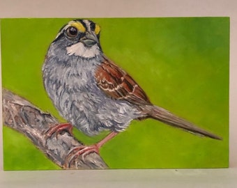 White -Throated Sparrow,Bird Art,Small Bird Painting, Bird Wall Decor,shellac on sides, cradle in back hang in home 6"x4"x1"