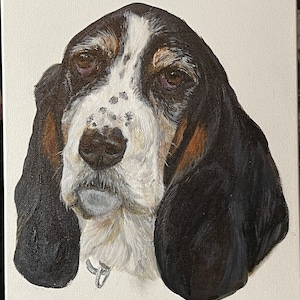 Pet Portrait
