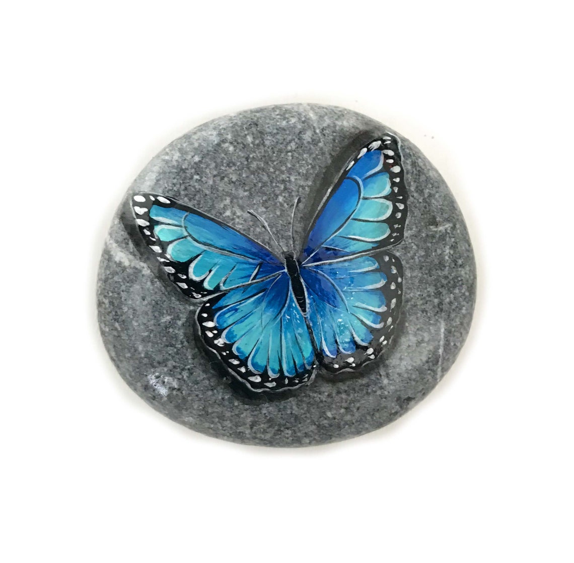 Butterfly rocks painted Painted rocks for garden blue Etsy