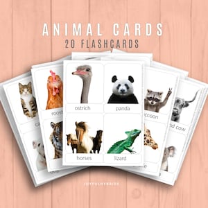 ANIMALES (Fotos reales) • Montessori • Doman • Tarjetas didácticas • Tarjetas didácticas • Niños pequeños • Imprimible • PDF editable • Educativo • Educación en casa