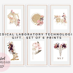 Set of 6 Prints Medical Laboratory Technician Gift MLT Technologist Lab Tech Office Decor Student Graduation Scientist Clinical Biology art