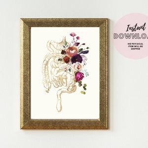 May include: A printable art print featuring a detailed anatomical illustration of the human intestines, adorned with a bouquet of watercolor flowers in shades of burgundy, pink, and white.
