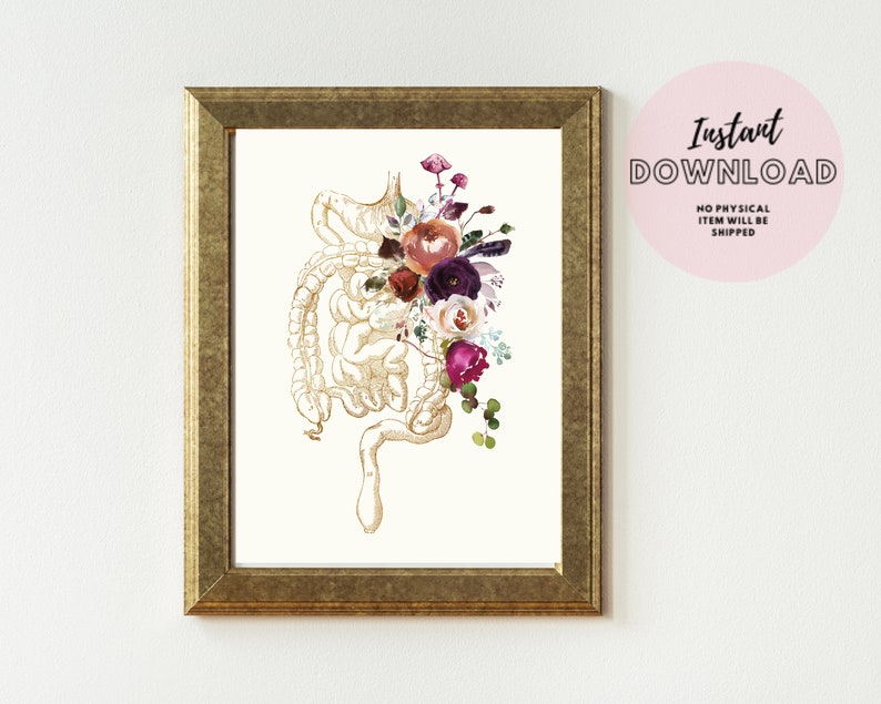 May include: A printable art print featuring a detailed anatomical illustration of the human intestines, adorned with a bouquet of watercolor flowers in shades of burgundy, pink, and white.