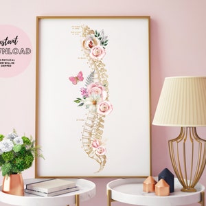 Spinal Column Vertebra Anatomy Poster Physical gift Chiropractic Office Decor massage therapist reflexolgy Chiropractor Physiotherapy cord