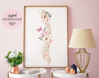 Póster de anatomía de la vértebra de la columna vertebral Regalo físico Quiropráctico Decoración de oficina Masajista Reflexología Quiropráctico Fisioterapia Cordón
