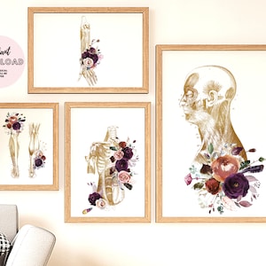 Massage Therapist Muscular System Print, Poster Floral Anatomy Art Printable Room Wall Decor Therapy Print Naturopathic office Graduation