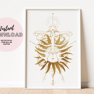 Rib Cage Anatomy Wall Art Skeleton Chest Print Doctor Office Decor Gift Anatomical Printable Thorax Radiology Medical Xray Tech Radiologist