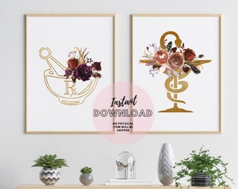 Farmacia Tienda Decoración Set de 2 Print Bowl of Hygeia Pharmacist Student Gift Prescription Symbol Rx Mortar and Pestle Tech apothecary pharmd