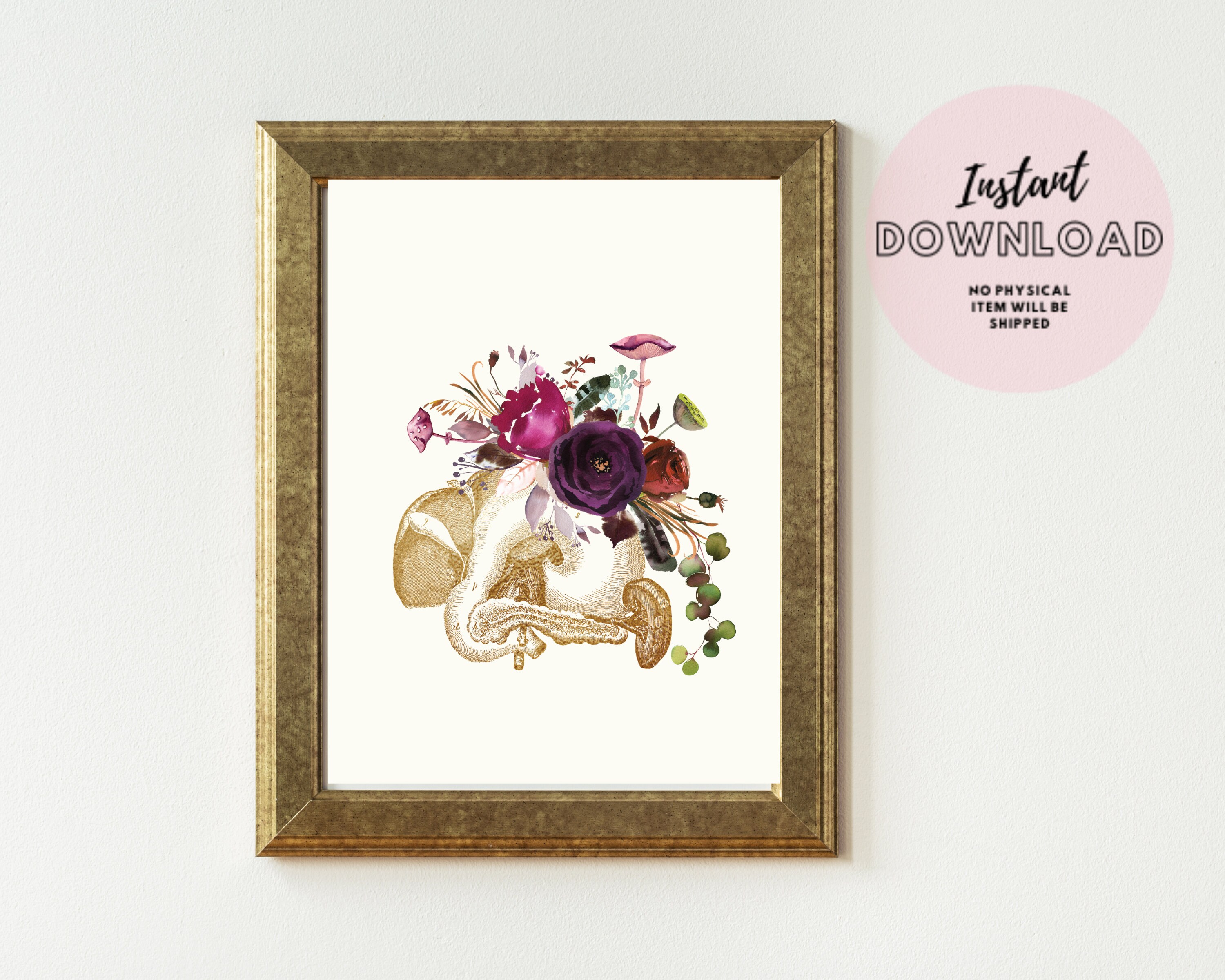 Pancreas Anatomy Print Medical Office Decor Internal Human Anatomical ...