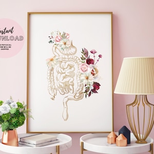 Digestive System Anatomy Art Internal Organ Human biology body Anatomical Poster Medical Graduation flowers nurse Print physiology Medicine