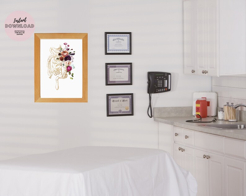 May include: A framed print of a medical illustration of the small intestine with a floral arrangement in shades of pink, purple, and white.
