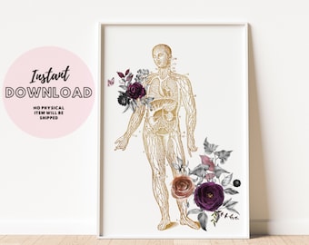 Body Lymphatic System Human Organ Vessels Medical Student Graduation Print Poster Cells Doctor Office decor Art endocrinology Lymphologist