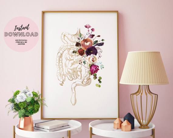 Internal Human Organs Floral Anatomy Print Gastroenterologist Gift Colon Doctor Antique Medical School printable Poster art Office Decor