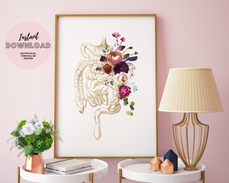 May include: A printable art print featuring a vintage anatomical illustration of the human intestines with a bouquet of watercolor flowers in shades of pink, purple, and burgundy.