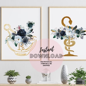 Pharmacie Magasin Décor Ensemble de 2 Impressions Roses Bleues Bol d’Hygeia Pharmacien Étudiant Cadeau Prescription Symbole Rx Mortier et Pilon Tech Cadeau