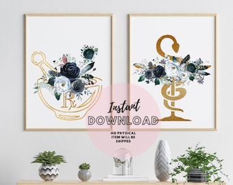 Farmacia Tienda Decoración Juego de 2 Impresiones Rosas Azules Tazón de Hygeia Farmacéutico Estudiante Regalo Receta Símbolo Rx Mortero y Mortero Tech Regalo
