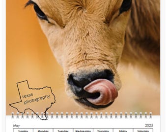 Kalender 2025 | Kalender zum Aufhängen Wandkalender Pferd | Neujahrsgeschenk | Texas hergestellt | Rinder Fotografie | Geschenk für sie | Geschenk für Ihn
