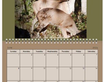 2025 Calendar | Hanging Calendar | Nature Calendar | New Year's Gift | Texas Made | Gift for couples | Wildlife Calendar | Gift for him