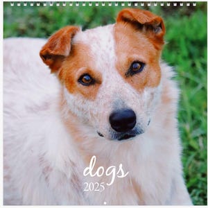 2025 Calendar | Hanging Calendar | Puppy Calendar | New Year&#39;s Gift | Texas Made | Dog Photography | Gift for her | Gift for him