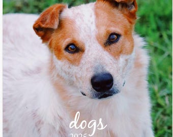 Calendario 2025 / Calendario colgante / Calendario de cachorros / Regalo de Año Nuevo / Hecho en Texas / Fotografía de perros / Regalo para ella / Regalo para él