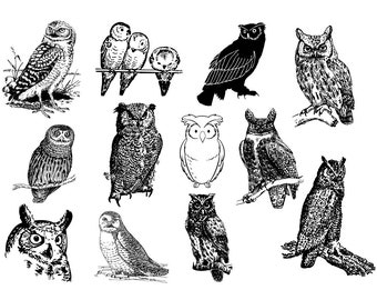 Owl Bundle, SVG, PNG, DXF