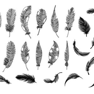 Feather Bundle, SVG, PNG, DXF