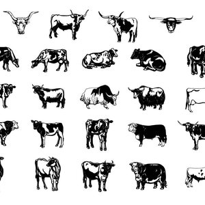 Cow Bundle, SVG, PNG, DXF