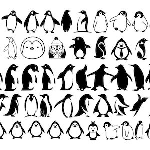 Pinguin Bundle, SVG, PNG, DXF