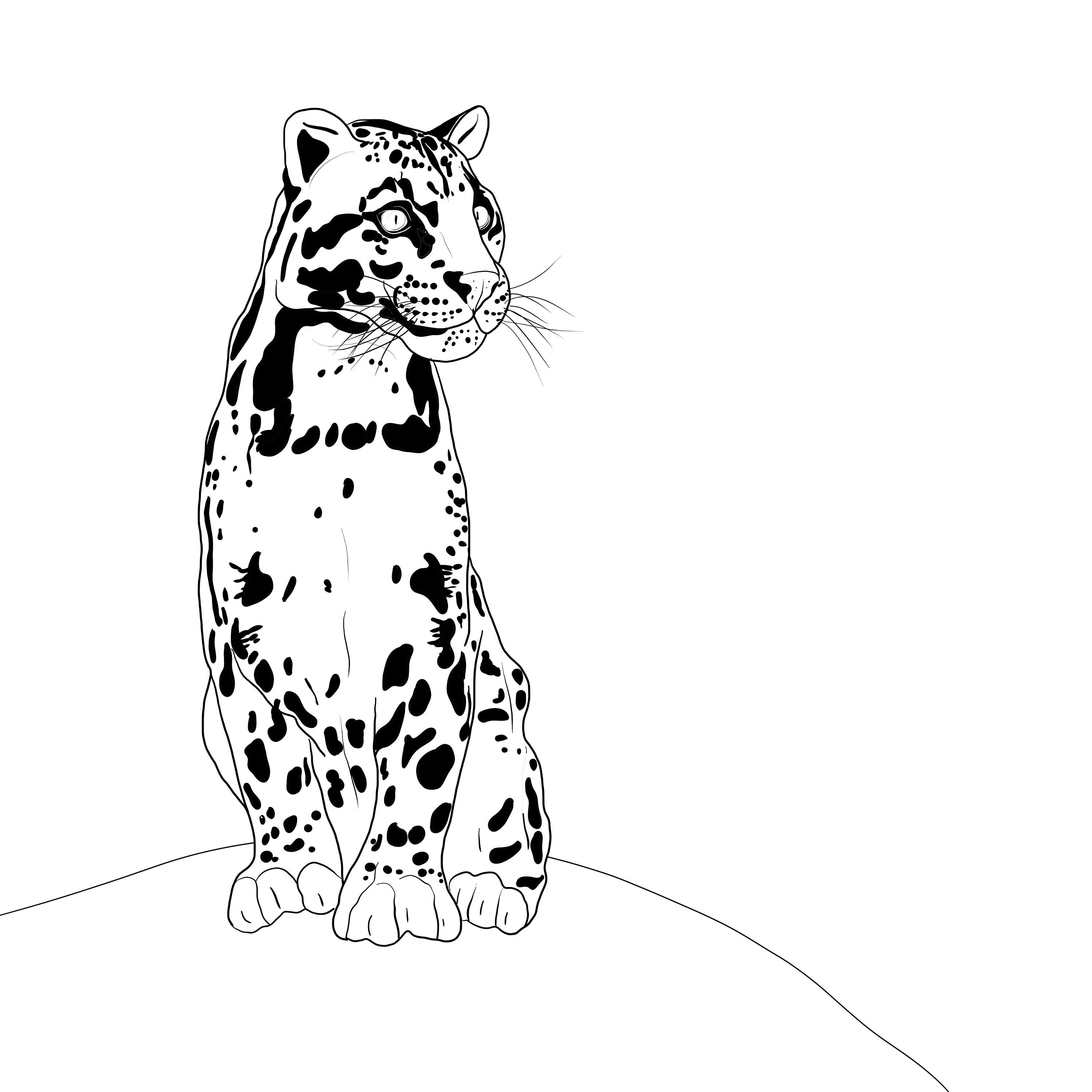 Clouded leopard print on premium paper several sizes and | Etsy