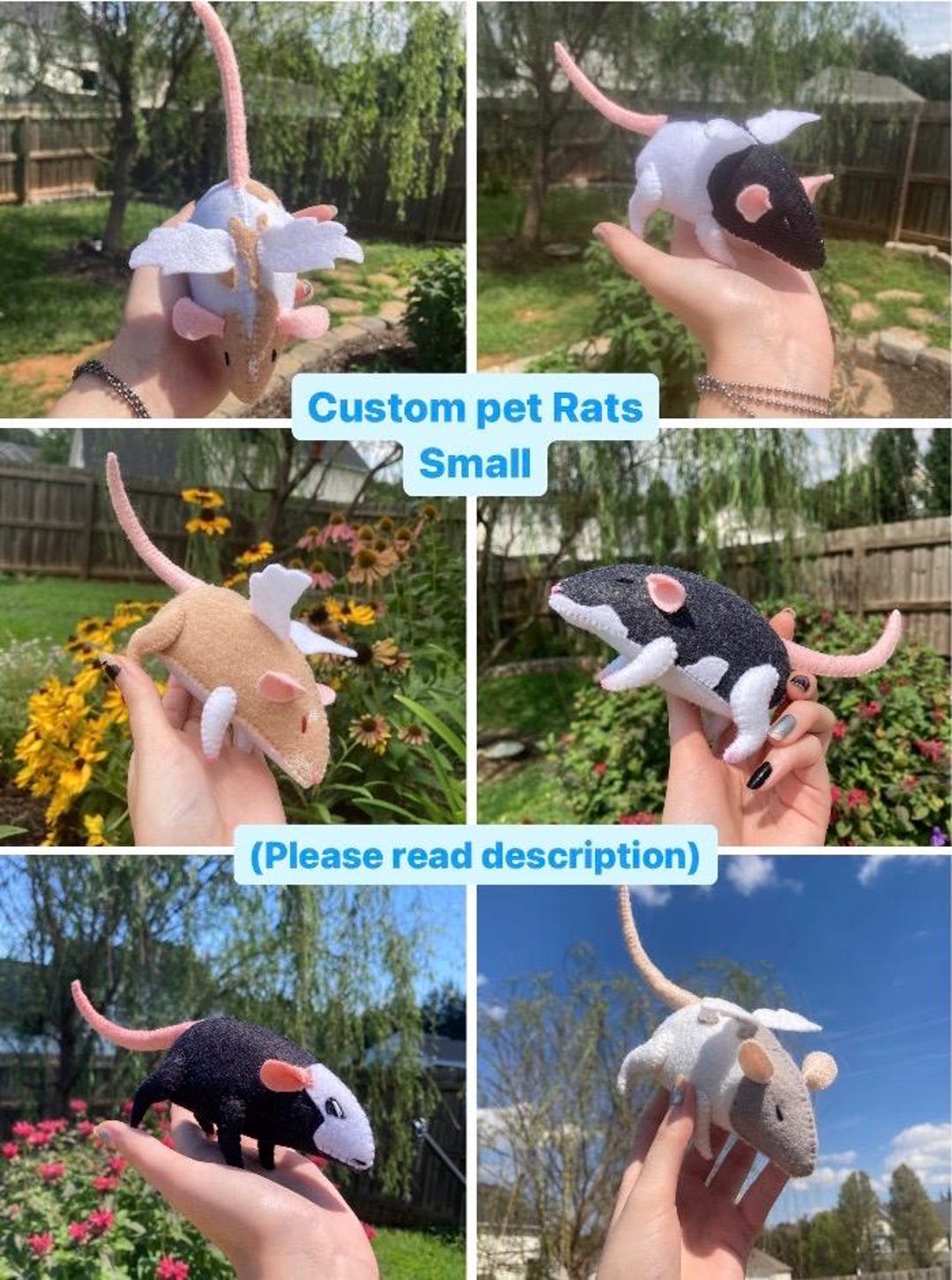 Rat Build Small Custom Pet Rats: Small - Etsy