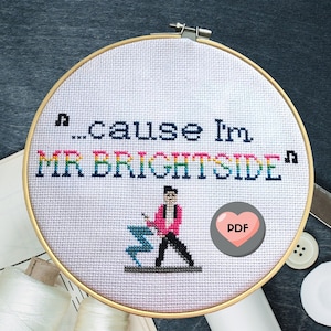 Mr Brightside Cross Stitch Pattern: The Killers Lyrics (PDF Download)
