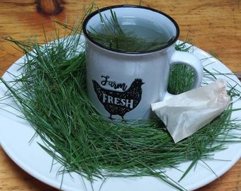 Fresh, Organic White Pine Needle Tea | Fresh Pine Needles For Tea | Pine Needle Tea | Pine Needles USA Grown