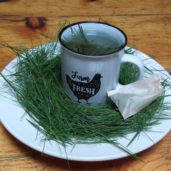 Fresh, Organic White Pine Needle Tea | Fresh Pine Needles For Tea | Pine Needle Tea | Pine Needles USA Grown