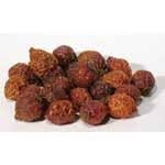 Whole Dried Rose Hips - Rosa Canina for Tea, etc.