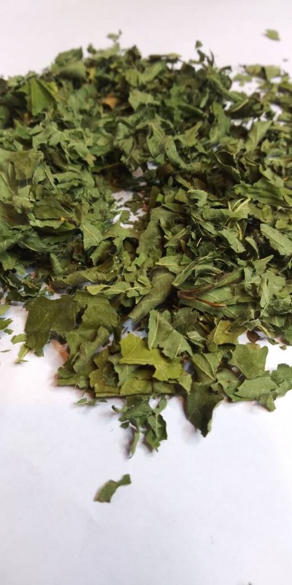 Hoja De Mora