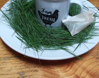 USA GROWN - Organic White Pine Needle Tea | Fresh Pine Needles For Tea | Pine Needle Tea | Pine Needles - Pinus strobus - Suramin