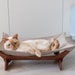 see more listings in the Cat hammocks section