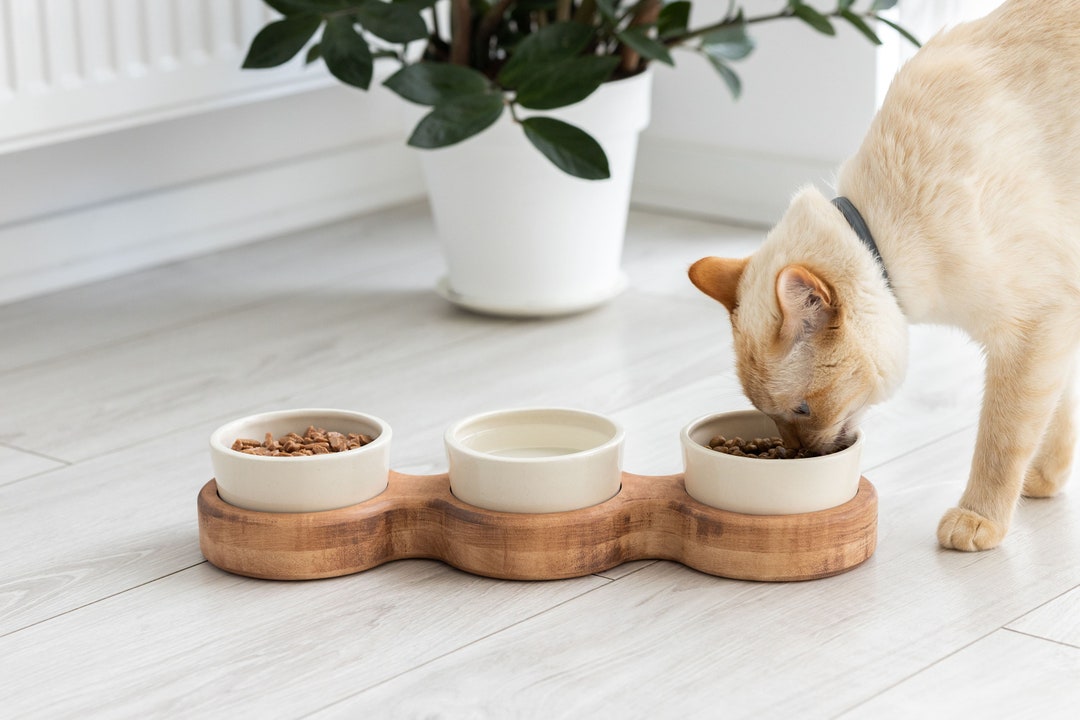 Elevated Cat Bowls Cat Bowls With Stand Raised Cat Bowls Etsy