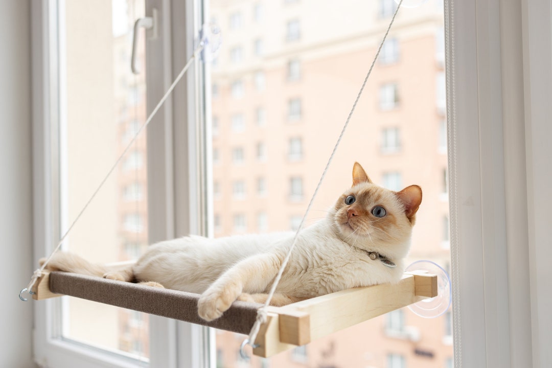 Cat Window Perch, Cat Window Hammock, Cat Window Ledge, Cat Window Bed, Cat Window Seat, Cat