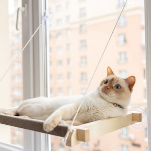 Cat window perch, cat window hammock, cat window ledge, cat window bed, cat window seat, cat window shelf, cat hammock