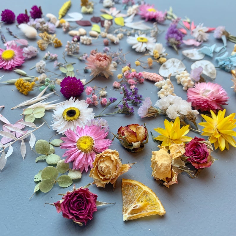 Dried flowers for resin jewelry and craft. Etsy