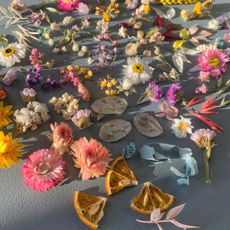 Dried flowers for resin jewelry and craft. Etsy
