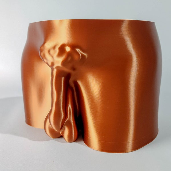 Masculine Penis & Booty Planter Pot | 3D Printed