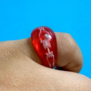 Op de afbeelding: Een doorschijnende rode ring met een ingebed wit skeletfiguur. Het skelet is afgebeeld in een verticale positie met de armen boven het hoofd geheven, ingesloten in het gladde, afgeronde oppervlak van de felrode harsring.