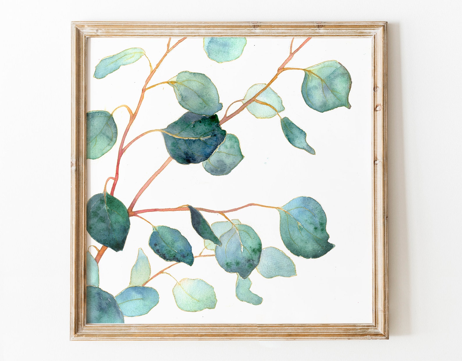 Eucalyptus painting Original art Botanical watercolor artwork Etsy