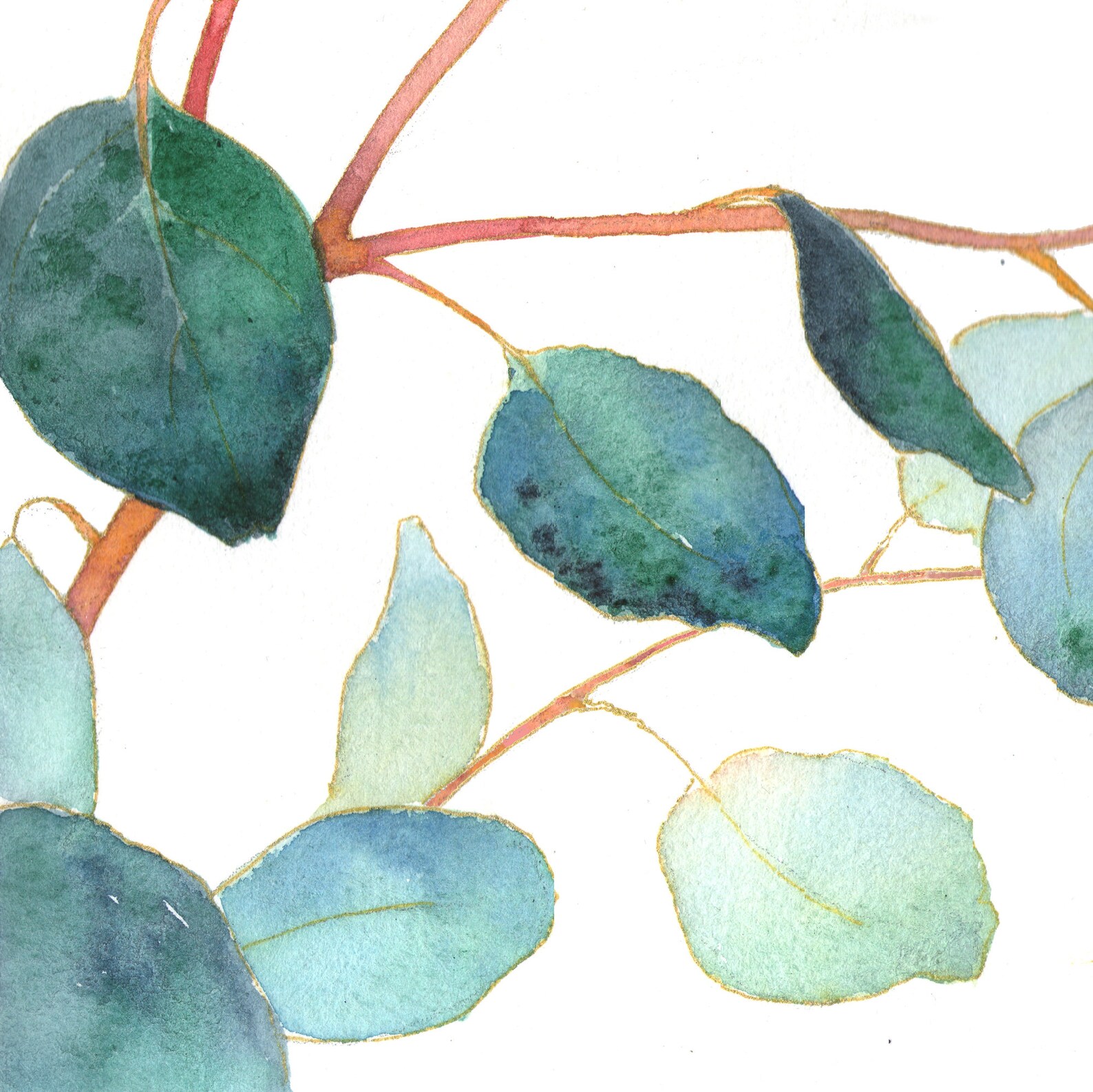 Eucalyptus painting Original art Botanical watercolor artwork Etsy